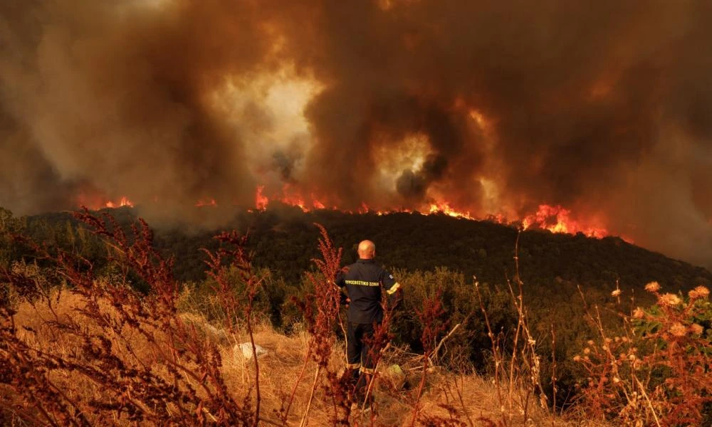 Εύβοια: Οριοθετήθηκε η φωτιά σε πυκνό δάσος - Δύσβατο το σημείο (βίντεο)